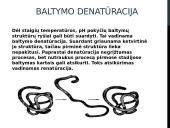 Baltymai. Skaidrės chemijai, biologijai 10 puslapis
