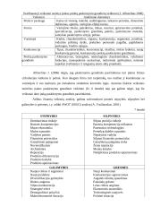 UAB "Lyra Group“ paskirstymo kanalų formavimo ir jų pasirinkimą lemiančių veiksnių analizė 13 puslapis