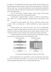 UAB "Lyra Group“ paskirstymo kanalų formavimo ir jų pasirinkimą lemiančių veiksnių analizė 9 puslapis