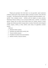 Intelekto referatas 2 puslapis