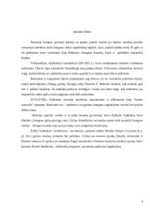 Intelekto referatas 4 puslapis