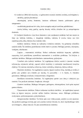 Intelekto referatas 6 puslapis