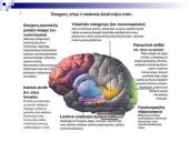 Šizofrenijos spektro sutrikimai, ligonių slauga 13 puslapis