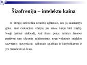 Šizofrenijos spektro sutrikimai, ligonių slauga 19 puslapis