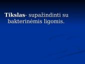 Bakterinės ligos 2 puslapis