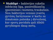 Bakterinės ligos 13 puslapis