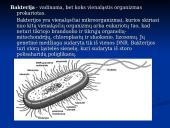 Bakterinės ligos 3 puslapis