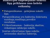 Bakterinės ligos 4 puslapis