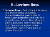 Bakterinės ligos 6 puslapis