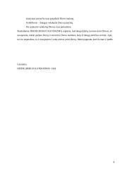 Heidelbergo Katekizmas 1563 4 puslapis