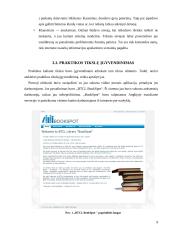 Praktikos Barclays ataskaita 9 puslapis