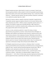 Ebinhaus atminties tyrimas 2 puslapis