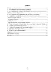 Multimodalinių krovinių sistema ir jos pervežimo procesai 2 puslapis