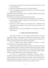 Multimodalinių krovinių sistema ir jos pervežimo procesai 11 puslapis