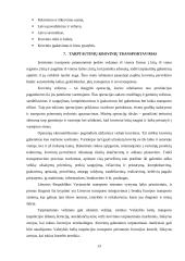 Multimodalinių krovinių sistema ir jos pervežimo procesai 13 puslapis