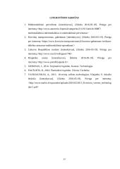 Multimodalinių krovinių sistema ir jos pervežimo procesai 17 puslapis