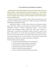 Multimodalinių krovinių sistema ir jos pervežimo procesai 4 puslapis