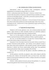 Multimodalinių krovinių sistema ir jos pervežimo procesai 5 puslapis