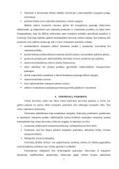 Multimodalinių krovinių sistema ir jos pervežimo procesai 7 puslapis