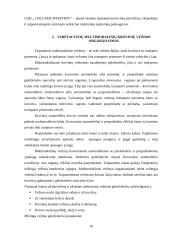 Multimodalinių krovinių sistema ir jos pervežimo procesai 10 puslapis