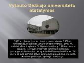 Kauno sąjūdžio veikla 5 puslapis