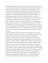 Ar pažymiai yra svarbus studentų (ar absolventų) kompetencijų vertinimo kriterijus, priimant juos į darbą? Kodėl? 2 puslapis