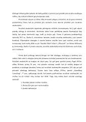 Startuolių verslas (startup) - ar jis gali būti atsakingas? 4 puslapis