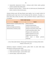 Prekės ženklu pažymėtos prekės arba paslaugos reklamos kampanijos analizė 13 puslapis