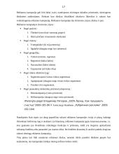 Prekės ženklu pažymėtos prekės arba paslaugos reklamos kampanijos analizė 17 puslapis