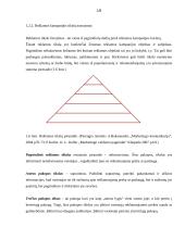 Prekės ženklu pažymėtos prekės arba paslaugos reklamos kampanijos analizė 19 puslapis