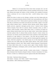 Prekės ženklu pažymėtos prekės arba paslaugos reklamos kampanijos analizė 3 puslapis