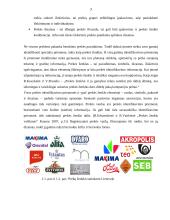 Prekės ženklu pažymėtos prekės arba paslaugos reklamos kampanijos analizė 7 puslapis