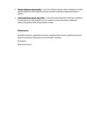 Plaučių funkcija 3 puslapis