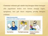 Cheminiai rizikos veiksniai 5 puslapis