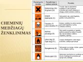 Cheminiai rizikos veiksniai 7 puslapis