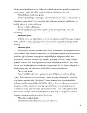 Neverbalinė kalba situacijų analizė 4 puslapis