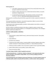 Politikos egzamino konspektas