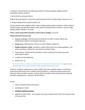 Politikos egzamino konspektas 13 puslapis