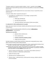 Politikos egzamino konspektas 15 puslapis