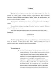 Termoizoliacinių medžiagų, naudojamų sienų ir stogų šiltinimui apibūdinimas 3 puslapis