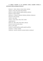 Specialybės kalbos kultūros savarankiškas darbas 2 puslapis