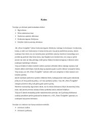 Marketingo komplekso analizė: AB "Pieno Žvaigždės" 6 puslapis