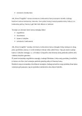 Marketingo komplekso analizė: AB "Pieno Žvaigždės" 7 puslapis