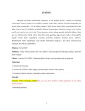 AB „REDA“ simuliacinė praktika 2 puslapis