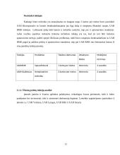 AB „REDA“ simuliacinė praktika 13 puslapis
