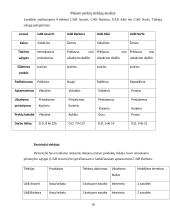 AB „REDA“ simuliacinė praktika 18 puslapis