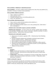 Teisės norma. Teisinis faktas. Teisės pažeidimas. 2 puslapis