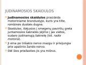 5-asis galvinis (trišakis) nervas 4 puslapis