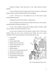 Baltų kultūros pėdsakai Vyslos žemupio regione 7 puslapis