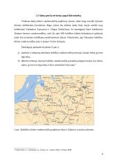 Baltų kultūros pėdsakai Vyslos žemupio regione 8 puslapis